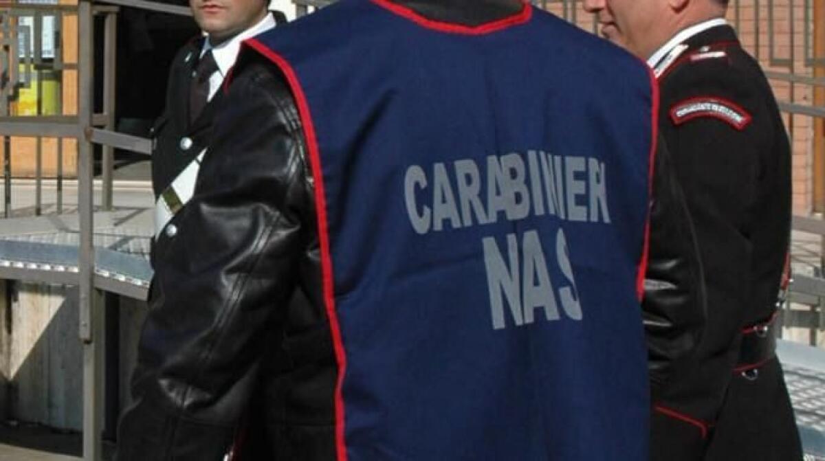 MASCALI, SEQUESTRATI 138 CAPI DI BESTIAME POTENZIALMENTE INFETTI - 