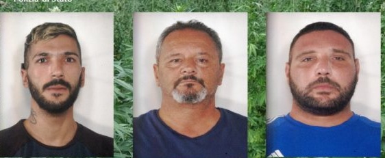 ADRANO: ARRESTATI TRE UOMINI PER COLTIVAZIONE E PRODUZIONE AI FINI DI SPACCIO DI SOSTANZA STUPEFACENTE.