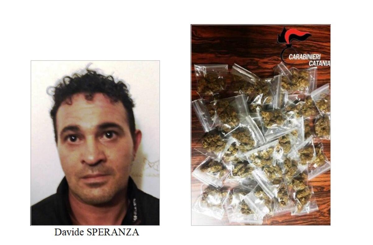 CATANIA: I “LUPI” ARRESTANO UNO SPACCIATORE, NASCONDEVA LA DROGA NEGLI SLIP - 