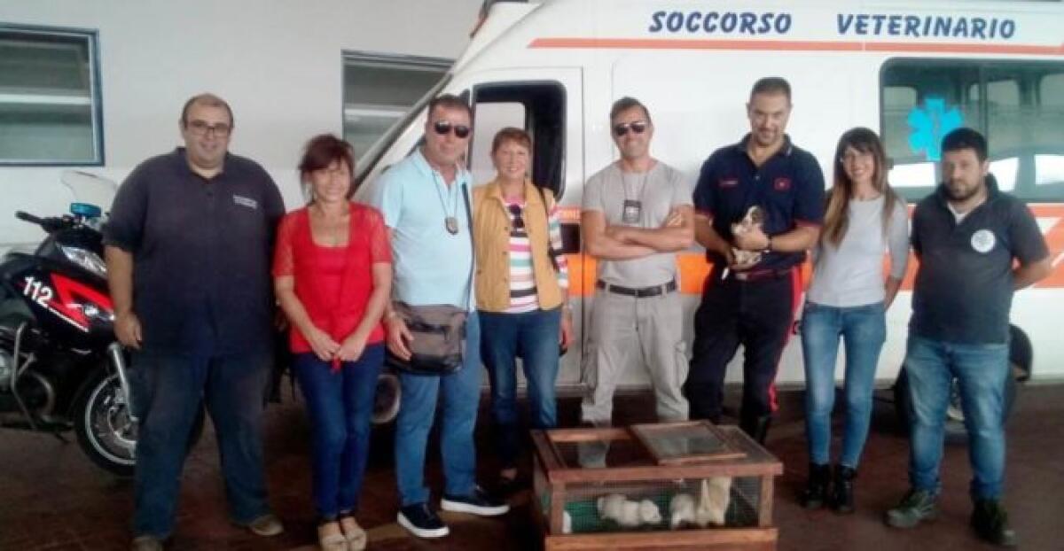 CATANIA: CINQUE CUCCIOLI ABBANDONATI, TROVATI E SALVATI DAI CARABINIERI - 