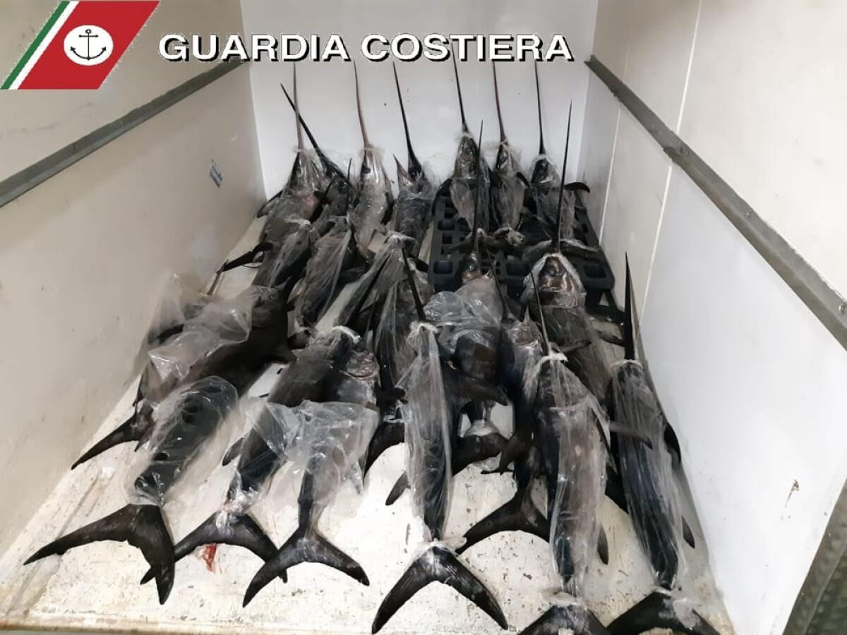 CATANIA: SEQUESTRATE OLTRE 2 TONNELLATE DI PESCE - 