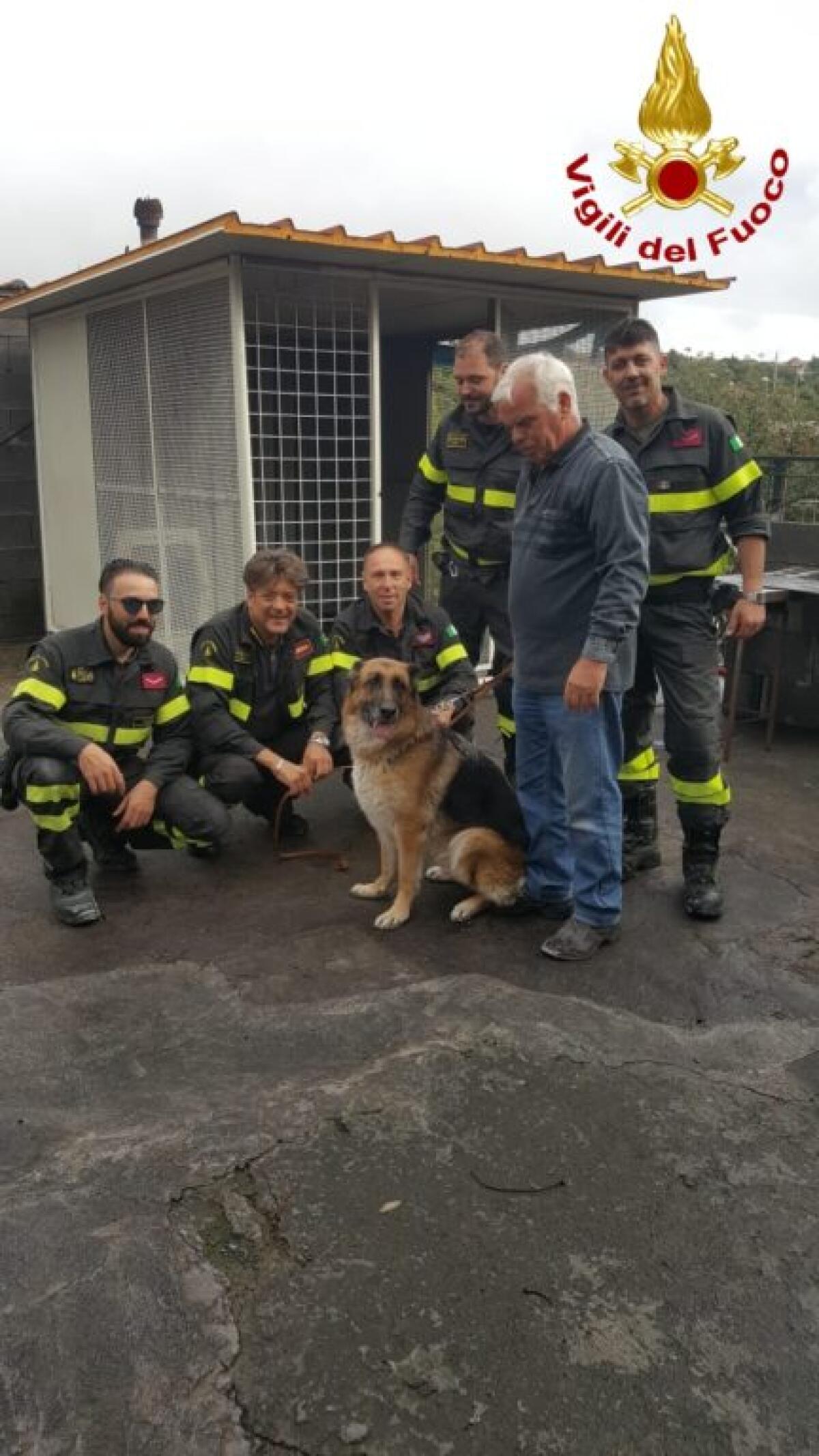 PEDARA: CANE FINISCE IN UNA INTERCAPEDINE, SALVATO DAI POMPIERI - 