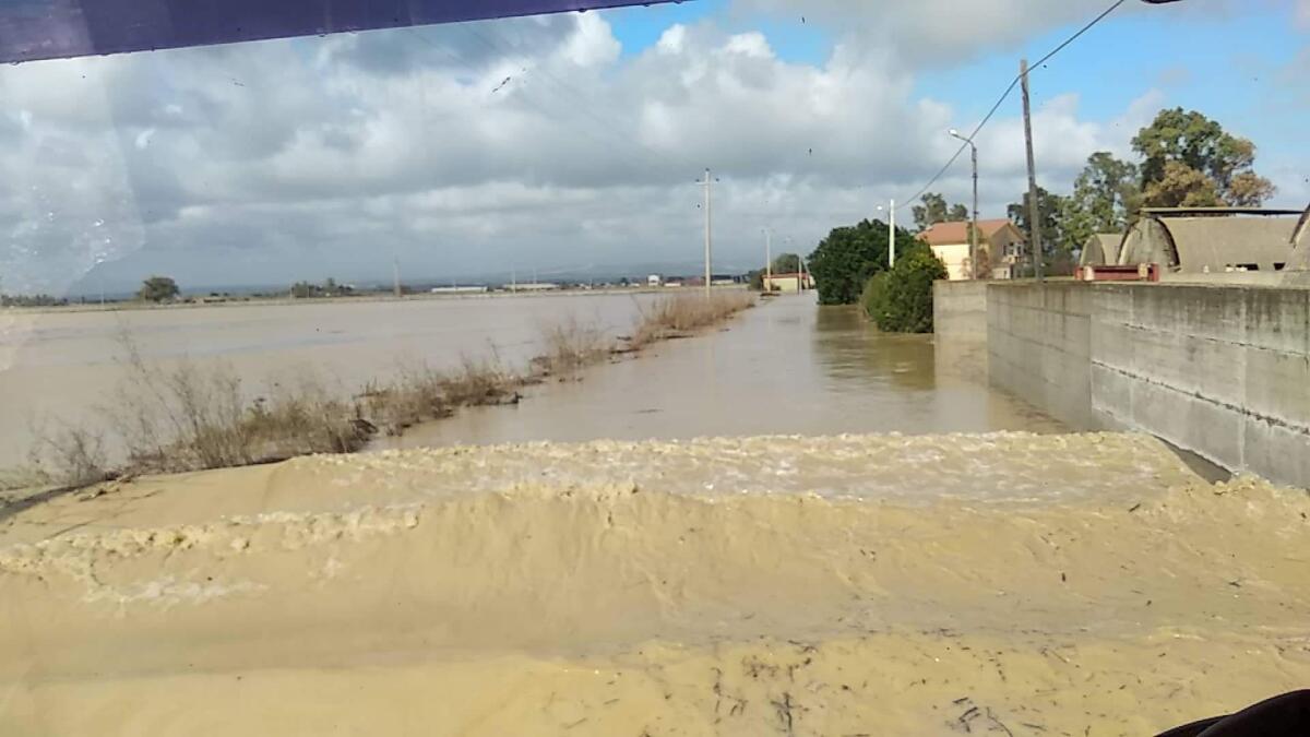 ALLUVIONE:  POLIZIA E VIGILI DEL FUOCO SALVANO SETTE PERSONE E NOVE CANI - 