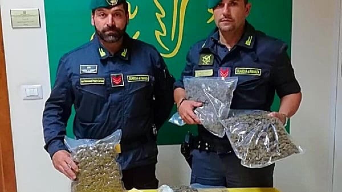 CATANIA: NASCONDEVA IN CASA 2 CHILI DI MARJUANA, GLI AVREBBE FRUTTATO CIRCA 180 MILA EURO - 