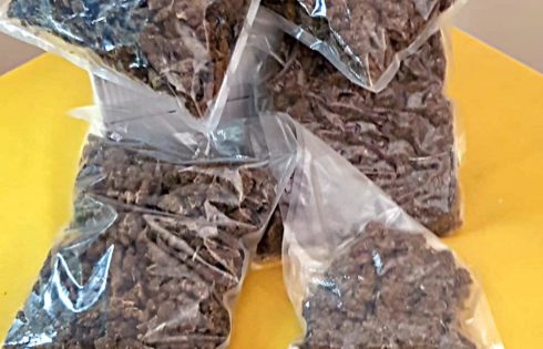 CATANIA: NASCONDEVA IN CASA 2 CHILI DI MARJUANA, GLI AVREBBE FRUTTATO CIRCA 180 MILA EURO