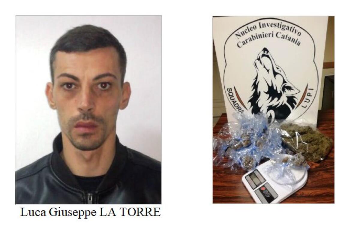 CATANIA: DROGA NASCOSTA TRA LA CAMERETTA DEI BAMBINI E LO SCANTINATO, SEQUESTRATO MEZZO CHILO DI “FUMO” - 