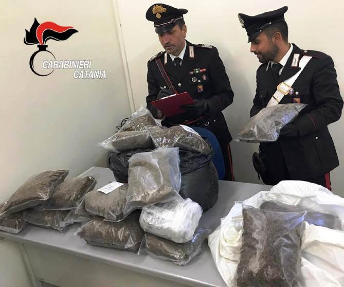 CATANIA: SEQUESTRATI 60 KG MARIJUANA - 
