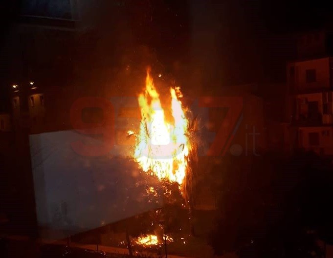 PATERNÒ: DATE ALLE FIAMME TRE PALME IN PIAZZA NASSIRYA