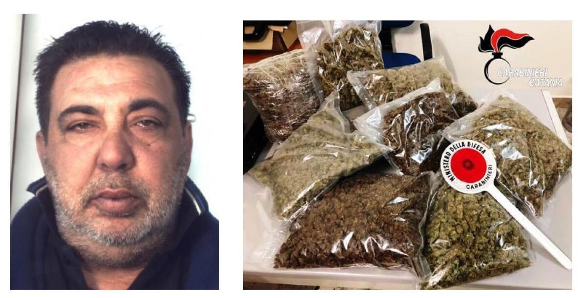 CATANIA: NASCONDE 6 KG DI MARIJUANA IN CASA: ARRESTATO CINQUANTATREENNE - 