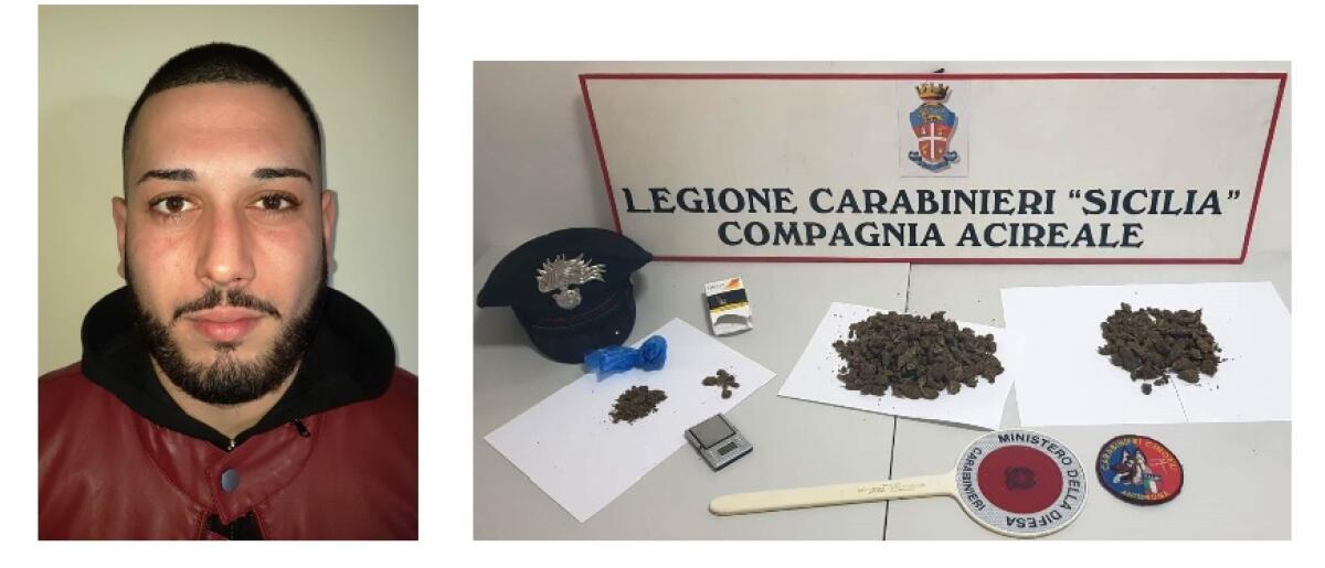 ACIREALE: PITBULL POSTO A GUARDIA DELLA DROGA, I CC IRROMPONO CON I CANI “INDIC” E ”AURO” SCOVANDO IL “FUMO” DA SPACCIARE - 