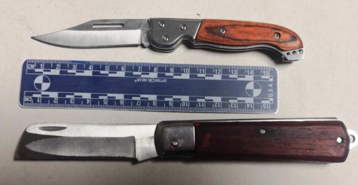 CATANIA: SCENDE DAL PULLMAN CON DROGA E COLTELLI, DENUNCIATO - 