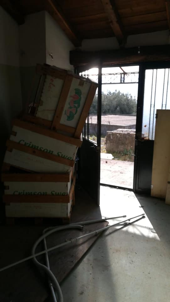 BELPASSO: FURTO ALL’AZIENDA AGRICOLA, LO SFOGO IN RETE DELLA PROPRIETARIA "VERGOGNATEVI VOI, PER VOI E PER I VOSTRI FIGLI!"