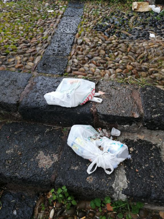 "SCALINATA SETTECENTESCA UMILIATA   DALLA MANCANZA DI PULIZIA, CONTROLLI E RISPETTO" NOTA DEL CONSIGLIERE DISTEFANO