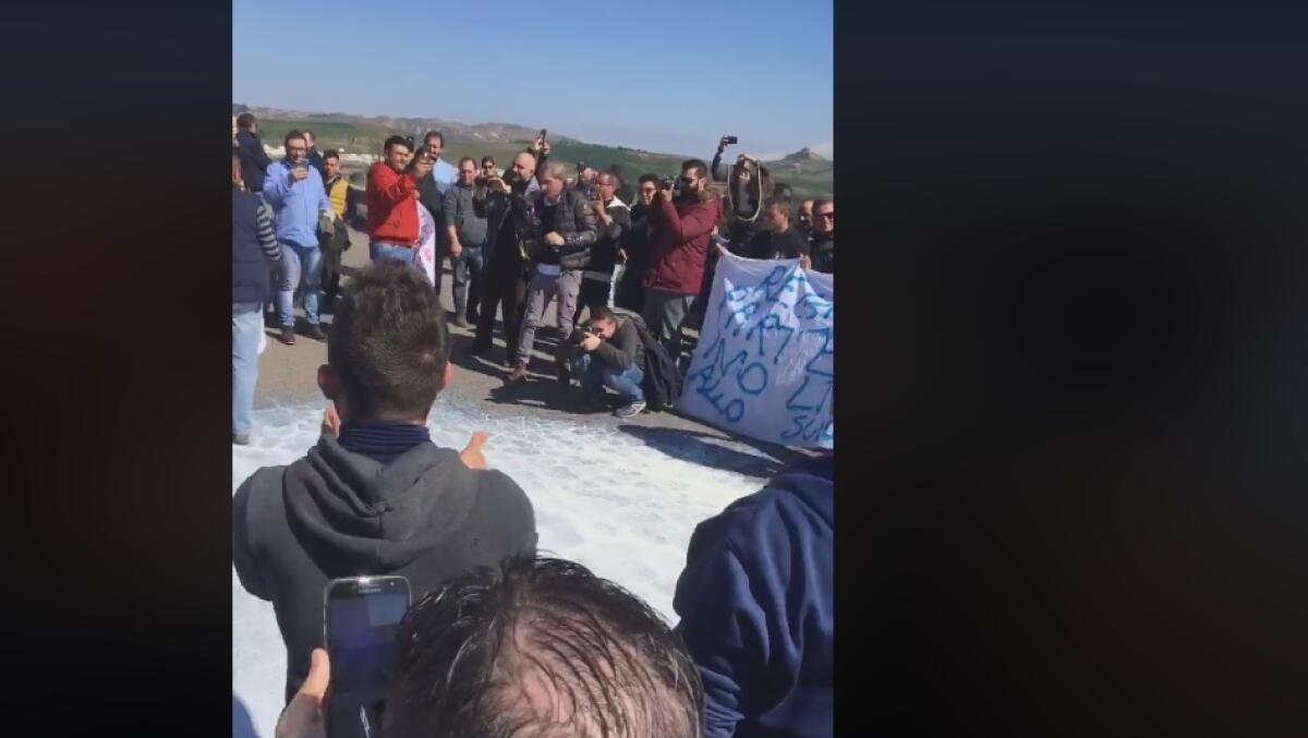 LA PROTESTA DEGLI ALLEVATORI SICILIANI  SVERSATI DUEMILA LITRI DI LATTE A ENNA - 
