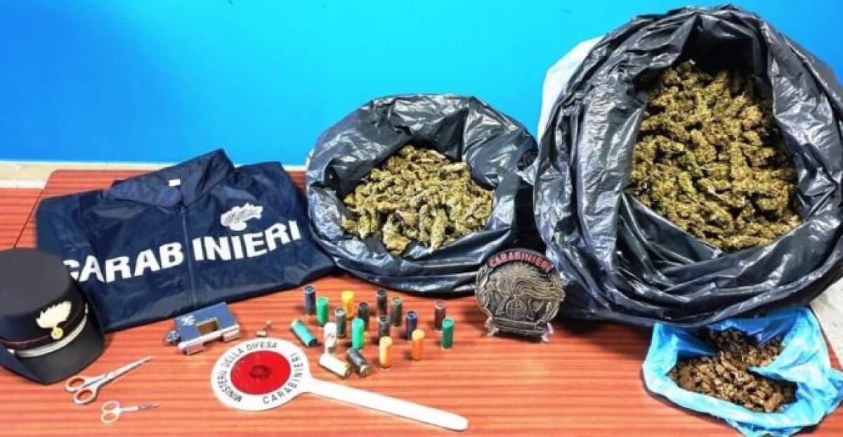 GRAVINA DI CATANIA. NASCONDEVANO 6 KG DI “FUMO” NEL GARAGE: ARRESTATI DUE FRATELLI - 