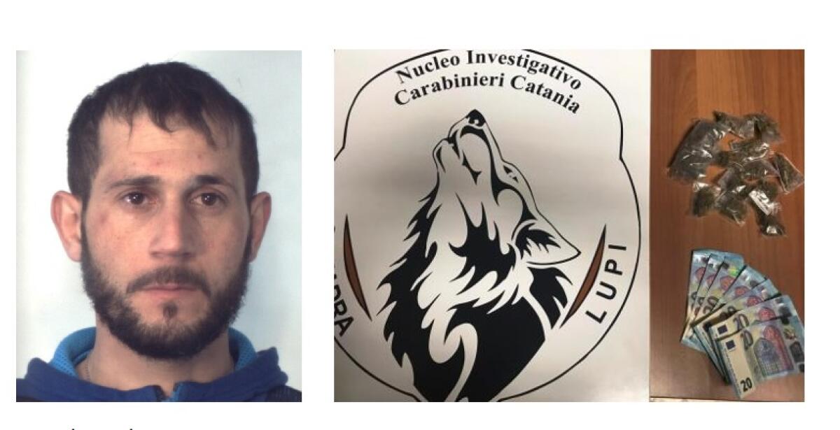 CATANIA. SPACCIAVA “SKUNK” IN VIALE NITTA, ARRESTATO - 