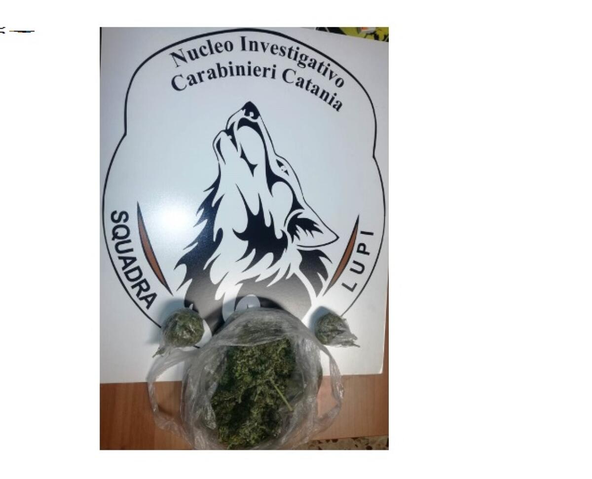 CATANIA: INSEGUIMENTO DEI “LUPI” ALLA CIRCONVALLAZIONE, BLOCCATO ED ARRESTATO GIOVANE SPACCIATORE - 