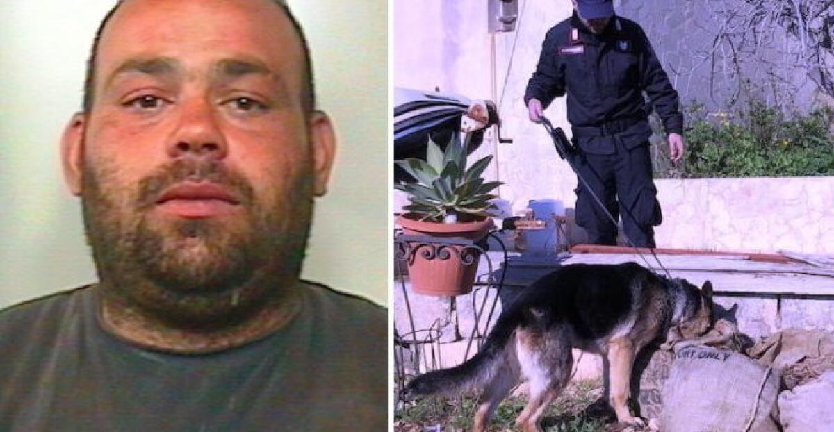 ACI SANT’ANTONIO: NASCONDEVANO IN CASA IL “FUMO” GIÀ PRONTO AD ESSERE PIAZZATO: CONVIVENTI IN MANETTE. - 