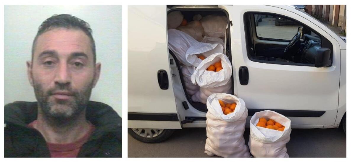 PATERNO': BECCATI DUE LADRI. RECUPERATE 2 TONNELLATE DI ARANCE - 