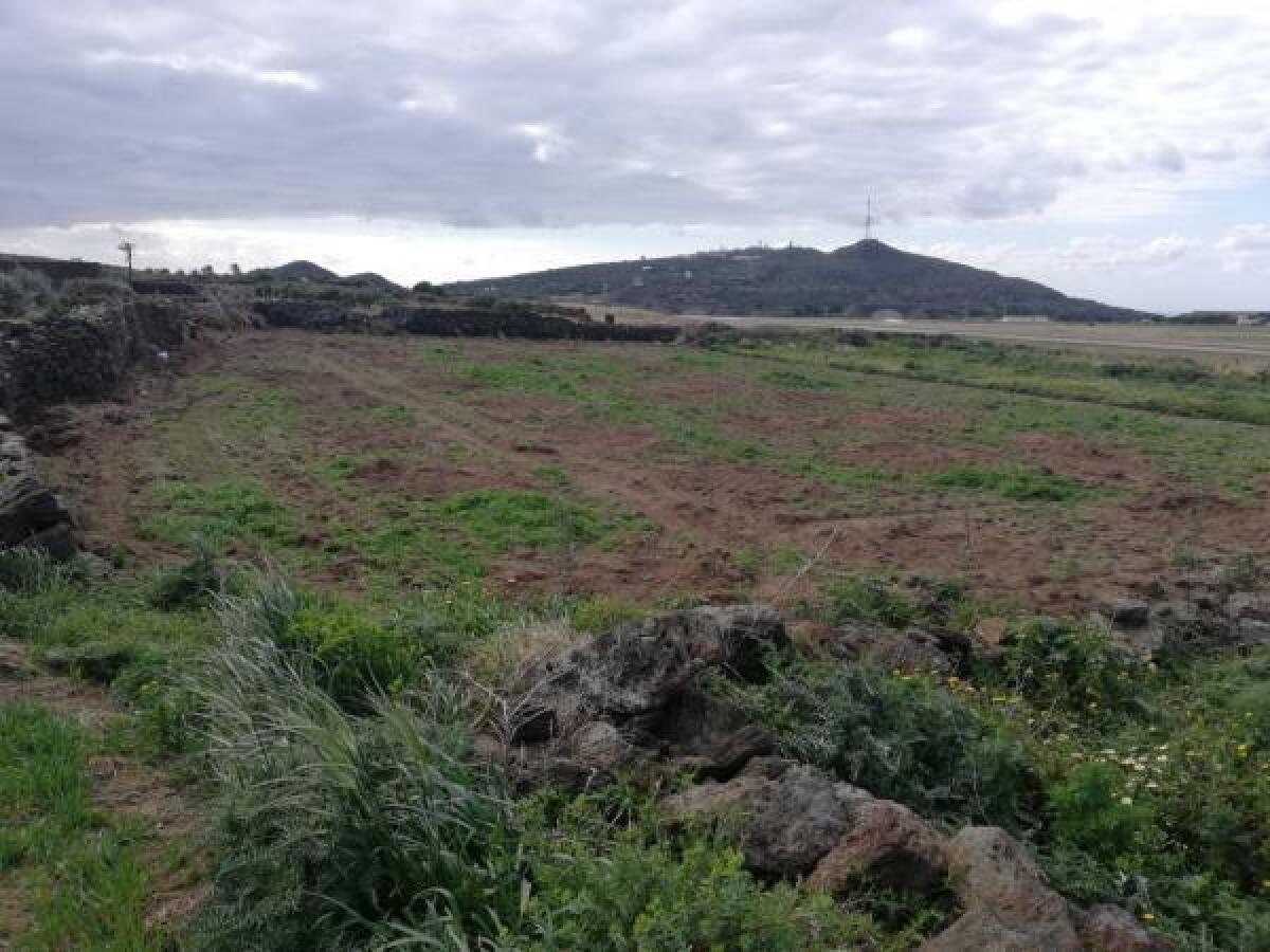 CATANIA, L’AGENZIA DEL DEMANIO METTE IN VENDITA ALTRI 21 BENI: CI SONO ANCHE 2 LOTTI DI TERRENO A BELPASSO - 