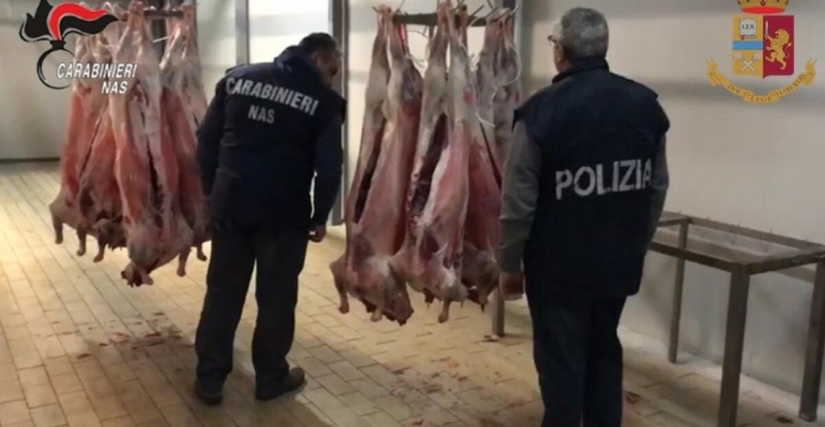 PATERNO': CHIUSO UN MATTATOIO CLANDESTINO - 