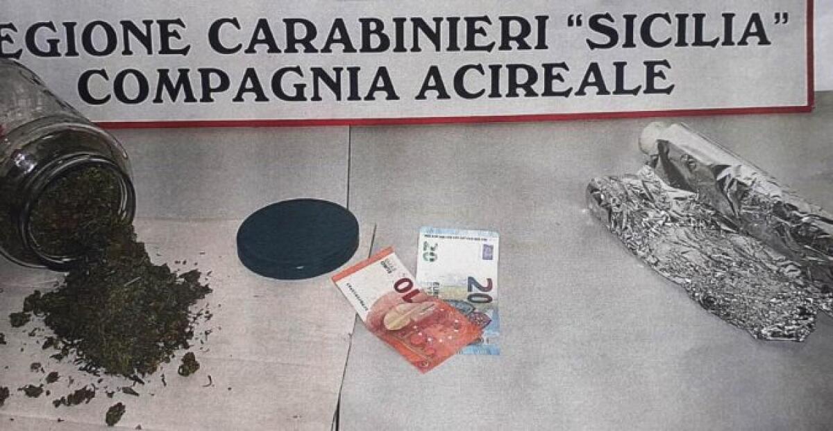 CATANIA. STUDENTE UNIVERSITARIO NASCONDEVA IN CASA DELLA “SKUNK”: ARRESTATO - 