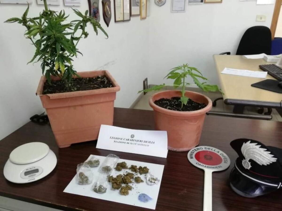 ACI CASTELLO: IMPIEGATO POSTALE ARROTONDAVA SPACCIANDO “ERBA” - 