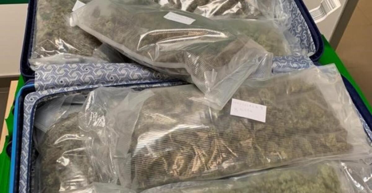 ARRESTO PASSEGGERO CATANESE CON 6,5 KG DI MARIJUANA NELLA VALIGIA. - 
