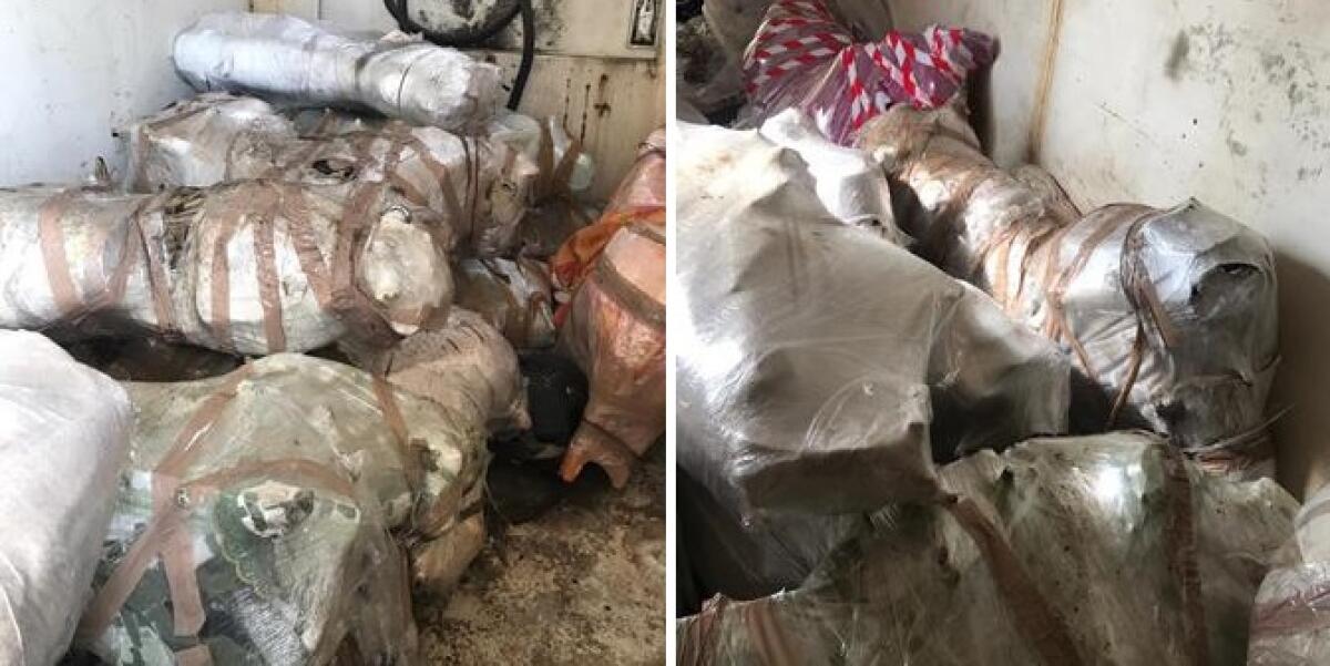 CATANIA, SCOPERTO CONTAINER PIENO DI MOTO RUBATE PRONTE A ESSERE SPEDITE IN AFRICA: DUE ARRESTI - 