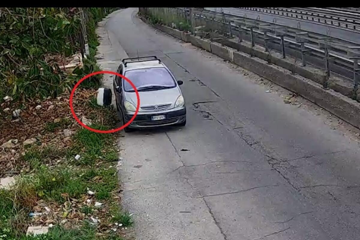 CARINI: LANCIA I CUCCIOLI DAL FINESTRINO DELL’AUTO IN CORSA, BECCATO DALLA POLIZIA MUNICIPALE - 