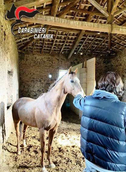 CATANIA: SEQUESTRATA COCAINA PURA PER UN VALORE DI OLTRE 4 MILIONI DI EURO