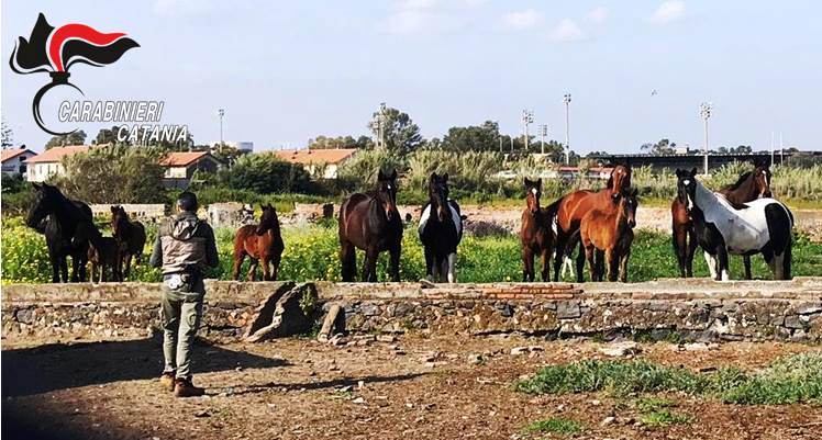 CATANIA: SEQUESTRATA COCAINA PURA PER UN VALORE DI OLTRE 4 MILIONI DI EURO
