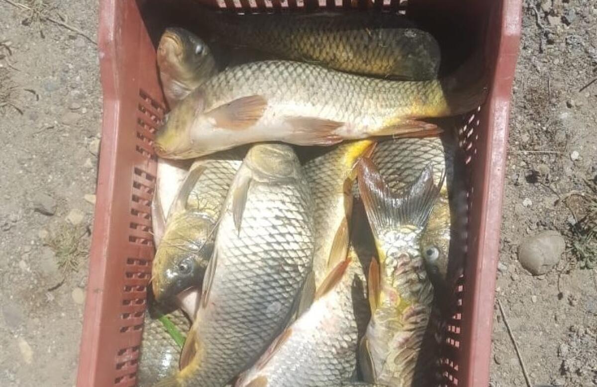 SORPRESI BRACCONIERI A PONTE BARCA, SU SEGNALAZIONE DELLE GUARDIE FIPSAS DI CATANIA - 