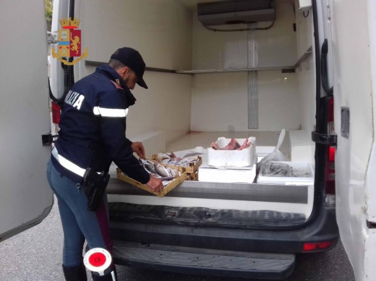 PATTI (MESSINA). LA POLIZIA DI STATO SEQUESTRA 50 KG DI PESCE PERICOLOSO PER LA SALUTE PUBBLICA - 