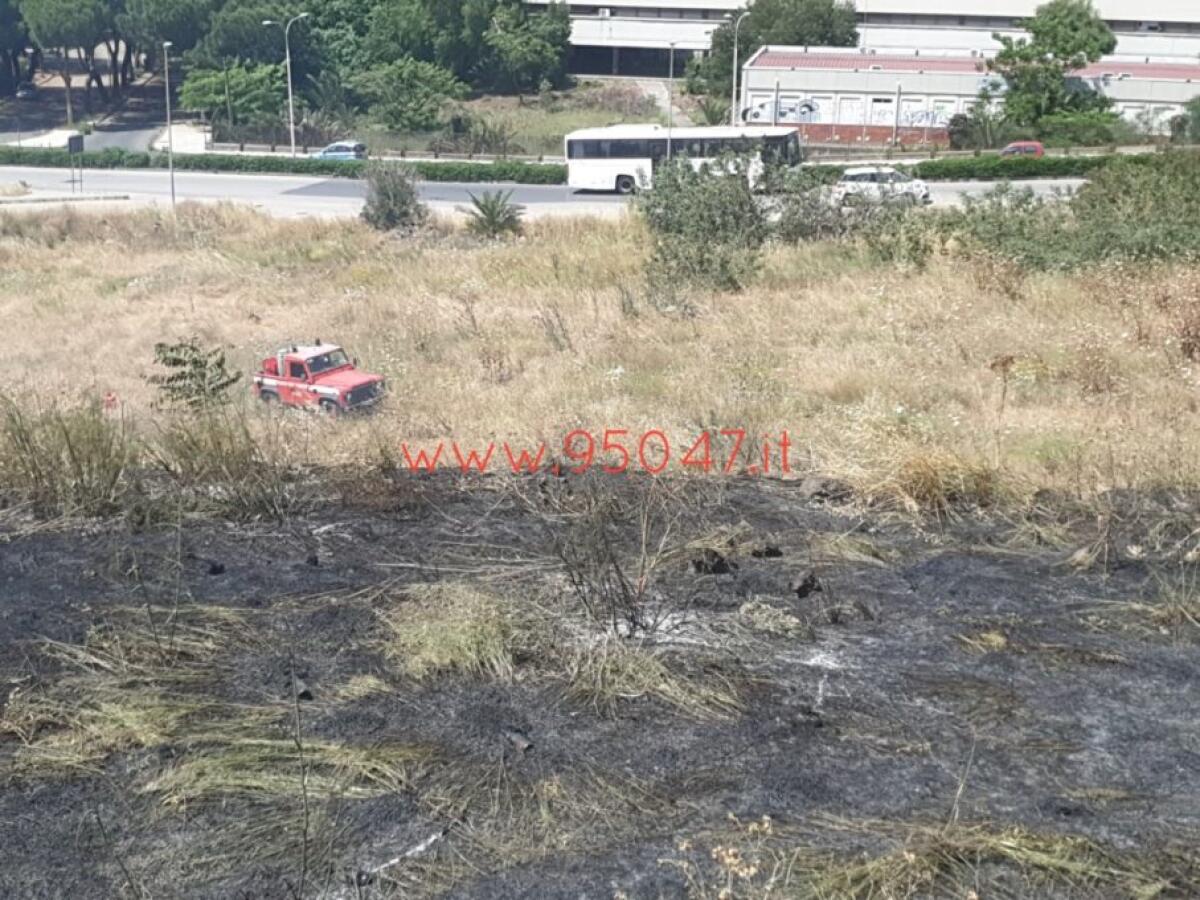 PATERNÒ: STERPAGLIE A FUOCO AL CORSO ITALIA, SUL POSTO I VIGILI DEL FUOCO - 