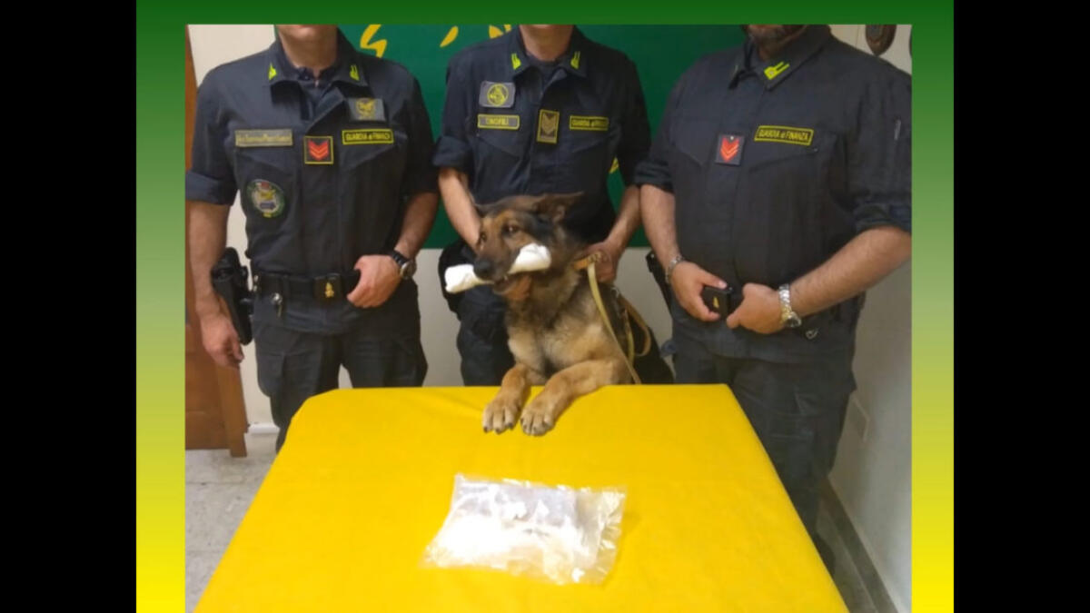 CATANIA: SEQUESTRO 500 KG DI COCAINA E ARRESTO DI UN CORRIERE - 