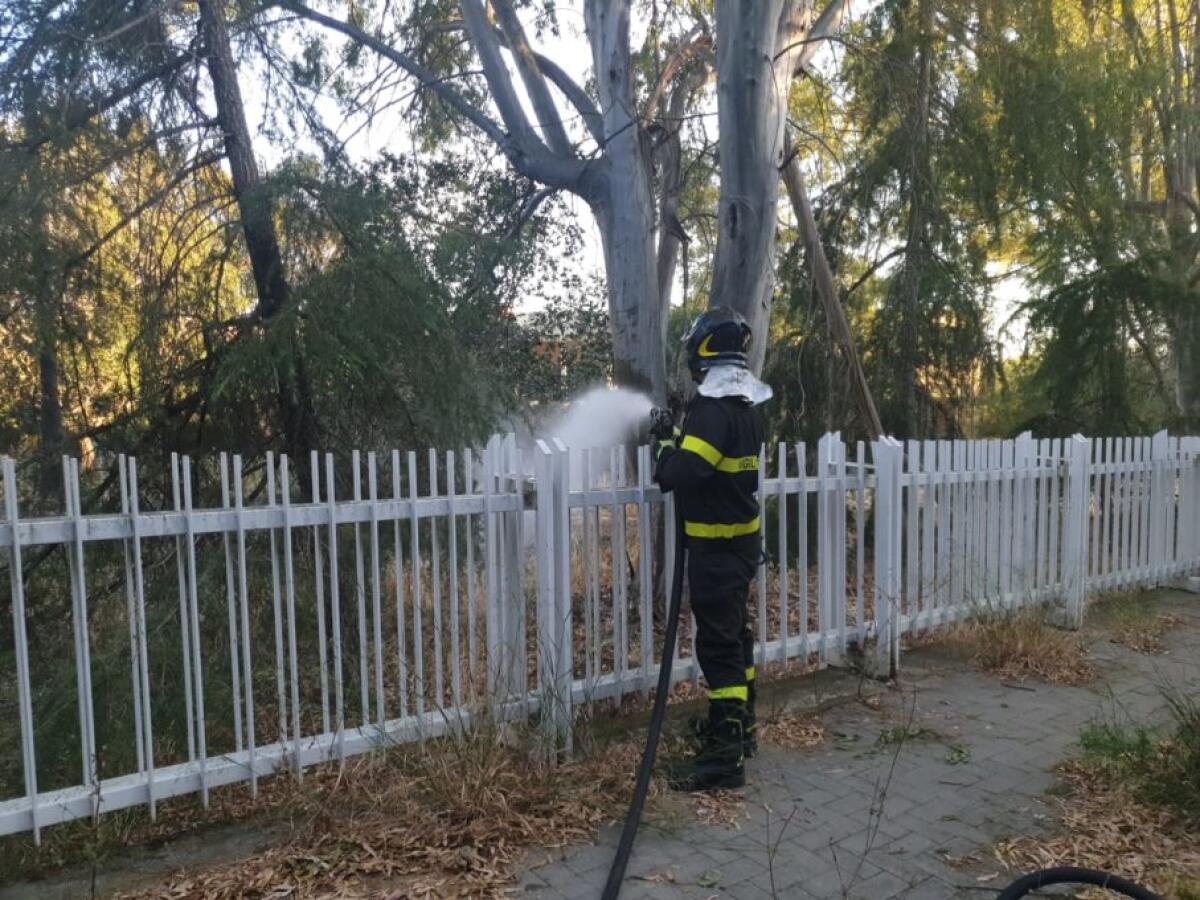 PATERNO': BRUCIANO STERPAGLIE AL PARCO, INTERVENTO DEI VVF - 