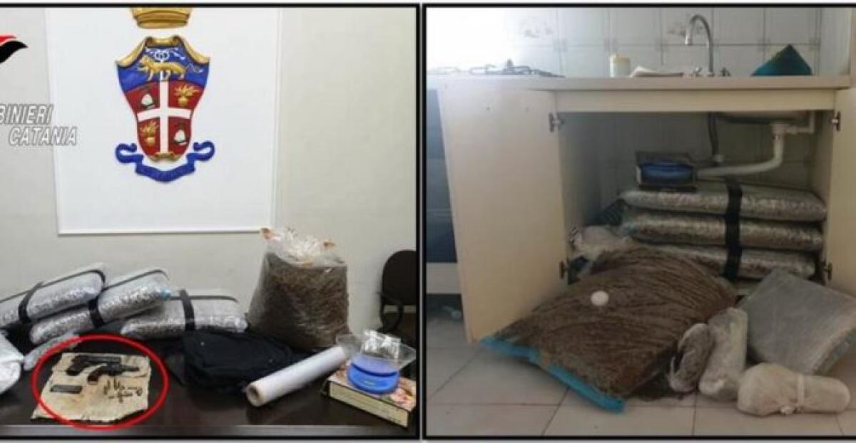 PATERNÒ: SEQUESTRATI 30 CHILI DI MARIJUANA, ARMI E MUNIZIONI, UN ARRESTO - 