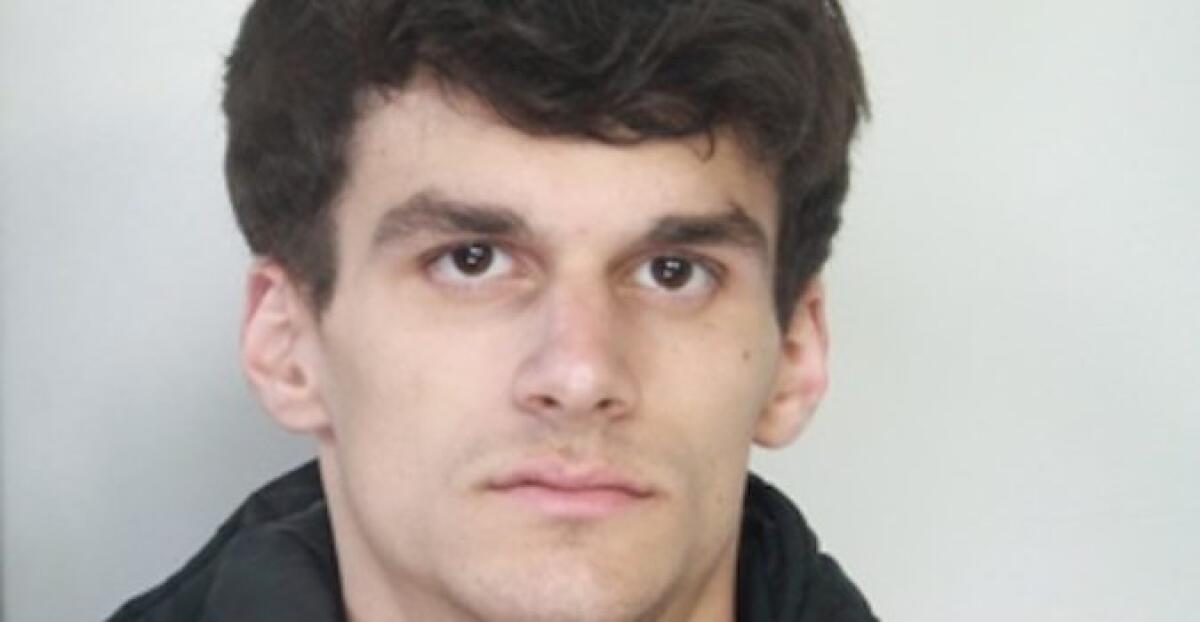 RUBA CELLULARE DALLE MANI AD UN GIOVANE, A BLOCCARLO IL PROPRIETARIO - 