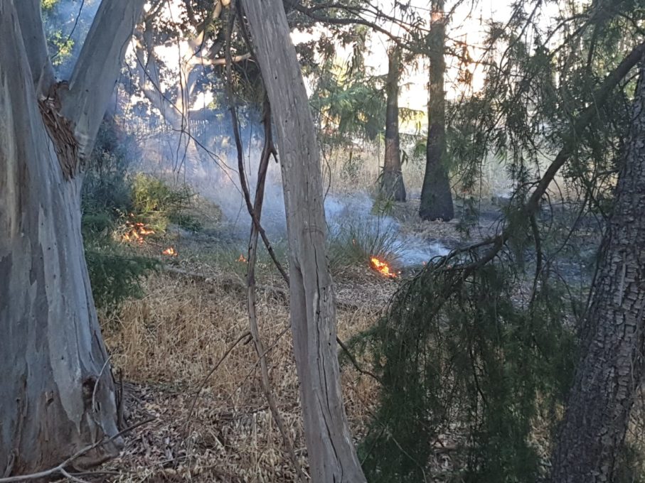 PATERNO': BRUCIANO STERPAGLIE AL PARCO, INTERVENTO DEI VVF