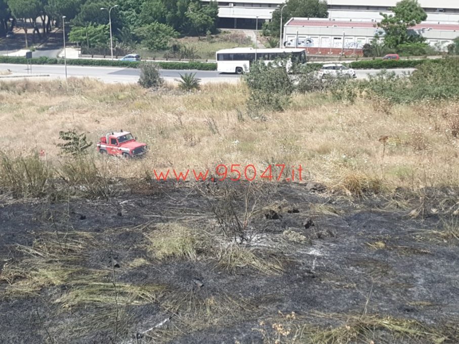 PATERNÒ: STERPAGLIE A FUOCO AL CORSO ITALIA, SUL POSTO I VIGILI DEL FUOCO