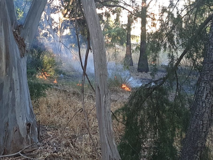 PATERNO': BRUCIANO STERPAGLIE AL PARCO, INTERVENTO DEI VVF