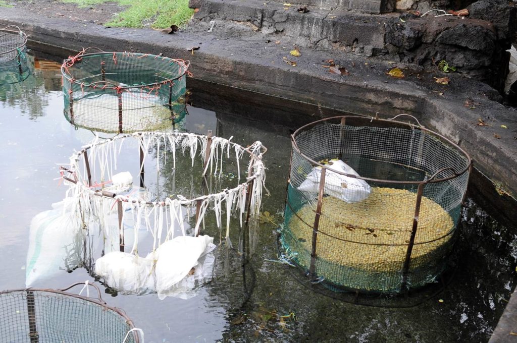 PATERNO’: PROGETTO “BENI CULTURALI & IMPRESA