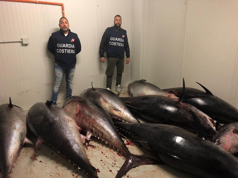 TONNO DEL VALORE DI 200 MILA € SEQUESTRATO A CATANIA