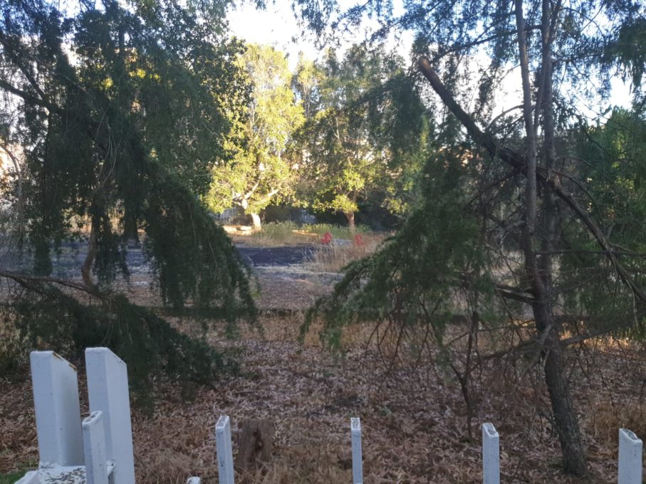 PATERNO': BRUCIANO STERPAGLIE AL PARCO, INTERVENTO DEI VVF