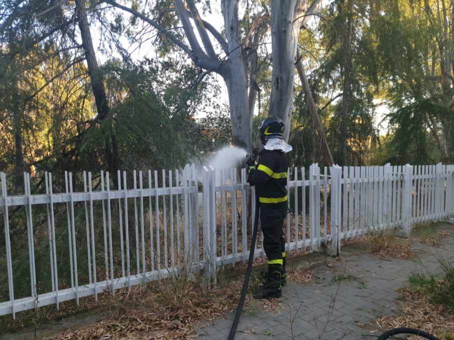PATERNO': BRUCIANO STERPAGLIE AL PARCO, INTERVENTO DEI VVF
