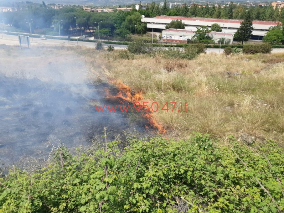 PATERNÒ: STERPAGLIE A FUOCO AL CORSO ITALIA, SUL POSTO I VIGILI DEL FUOCO