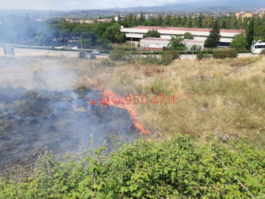 PATERNÒ: STERPAGLIE A FUOCO AL CORSO ITALIA, SUL POSTO I VIGILI DEL FUOCO