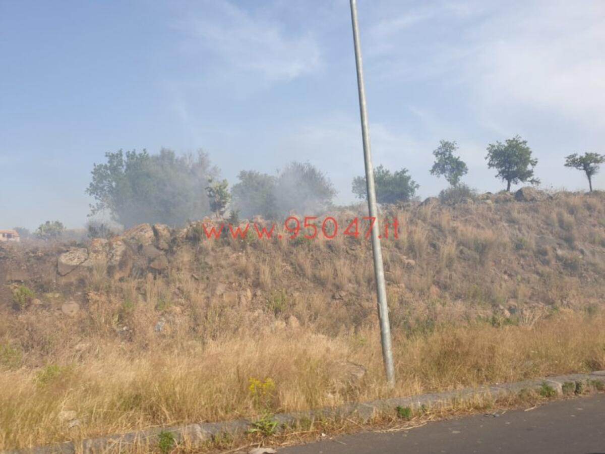 PATERNÒ: ENNESIMO INCENDIO DI STERPAGLIE, VVFF SUL POSTO - 