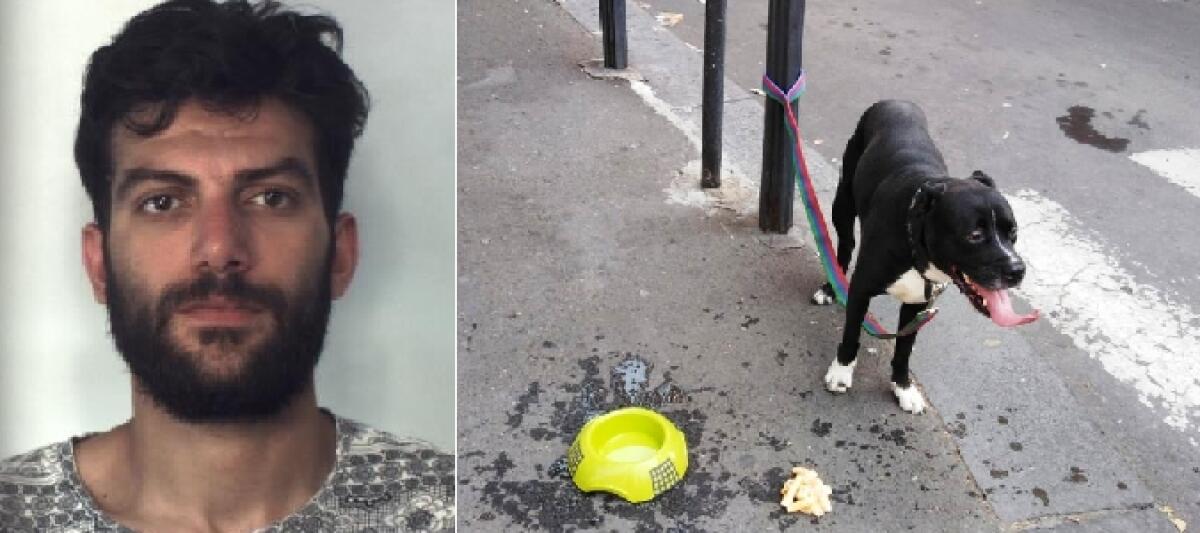 CATANIA, RUBA UNO SCOOTER MENTRE È A SPASSO COL CANE: ARRESTATO DOPO INSEGUIMENTO - 